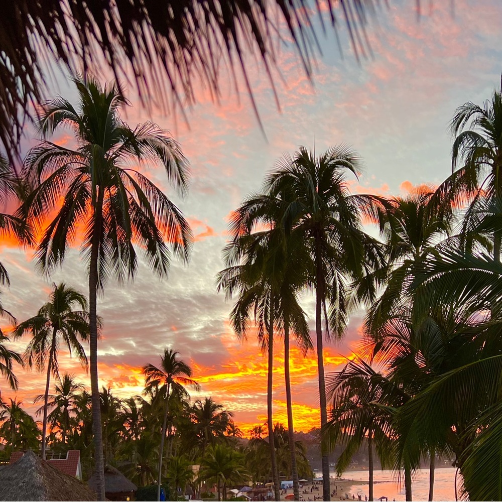 Meet your Posher, Jane